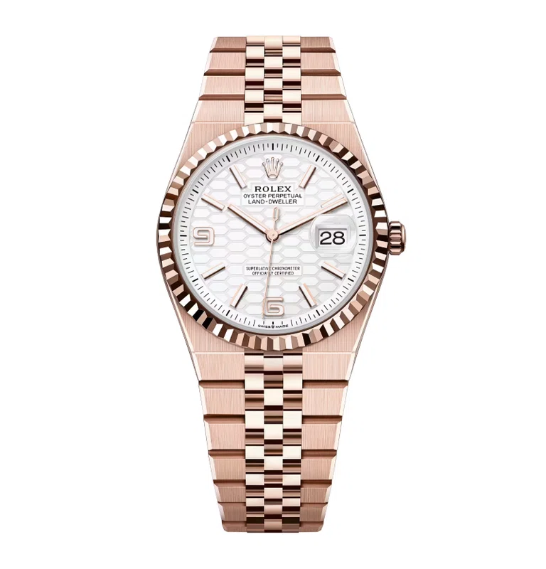 Rolex Land-Dweller 36 mm Everose-Gold (2025)